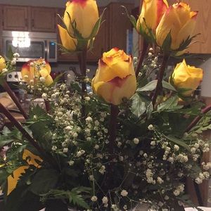 Meet your Posher, Suzanna